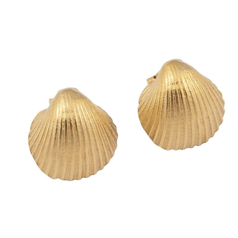 Clam shell stud earrings