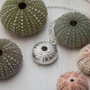 Large sea urchin necklace